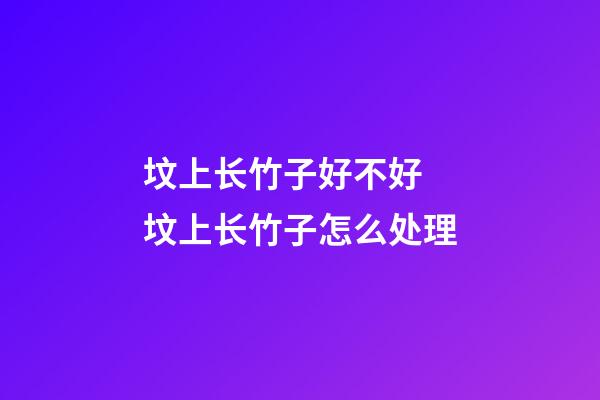 坟上长竹子好不好 坟上长竹子怎么处理
